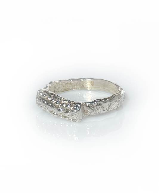 Seal Ring