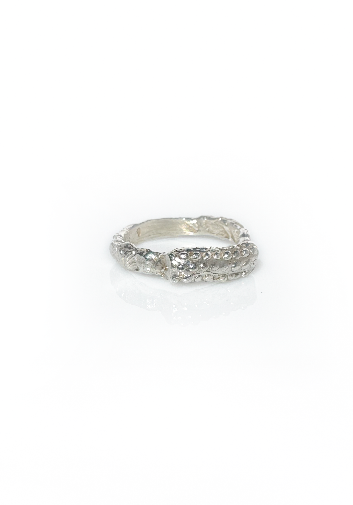 Seal Ring