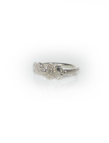 Amulet Ring