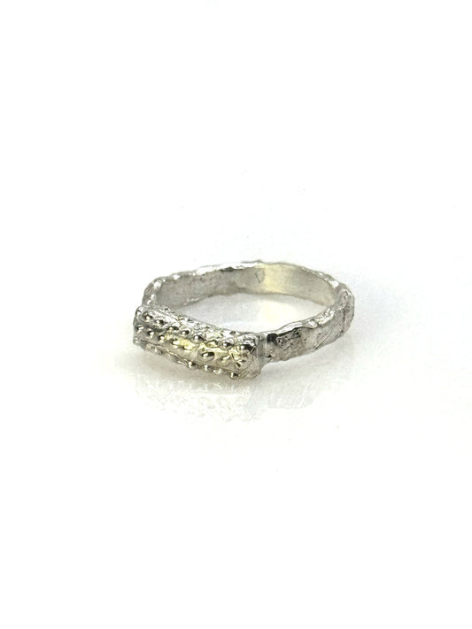 Silver Seal Ring